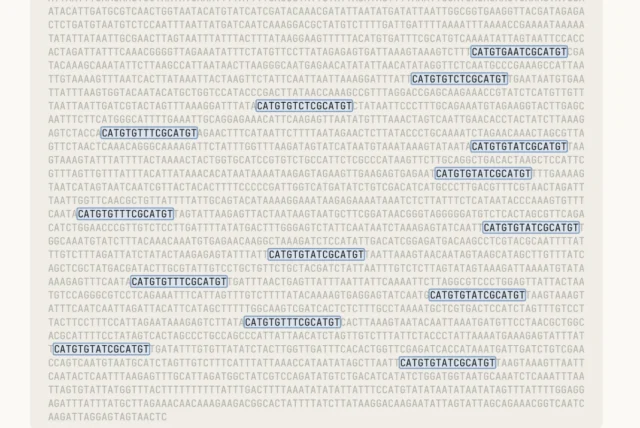 Claude Found a Novel Enzyme System Experts Missed, and Nobody Knows What It Does