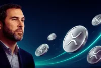 ripple-ceo-shares-reasons-for-strong-optimism-regarding-xrp-9689b8